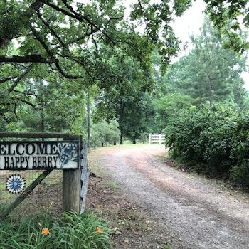 Exciting news! Lake Keowee Source Water Protection Team (LKSWPT) is thrilled to announce the permanent protection of @the_happy_berry Farm in Pickens County! This 22-acre conservation easement preserves scenic views, agricultural lands, and includes approximately 500’+ of streamside frontage along a tributary to Lake Keowee. Project funders include the South Carolina Conservation Bank, Upstate Land Conservation Fund, and SC Department of Health and Environmental Control. Together with these funders and the generous landowner we’re safeguarding the beauty and sustainability of Lake Keowee for generations to come. 

#ConservationWins #EnvironmentalProject #LakeKeoweeProtection